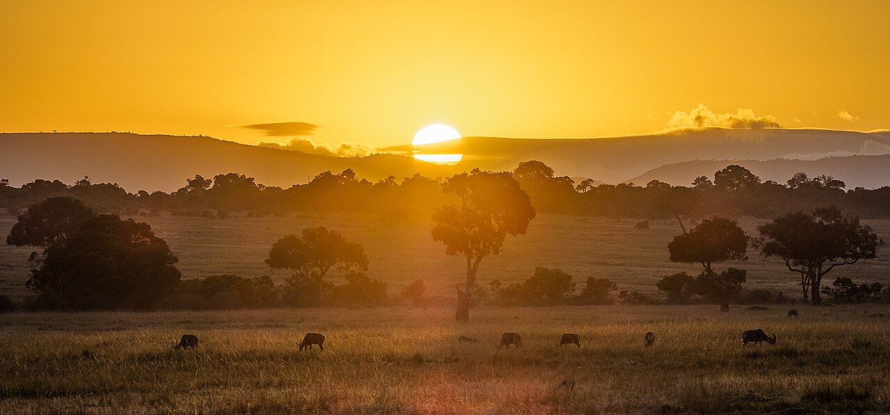Kenya Safari